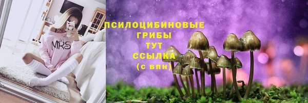 стафф Володарск