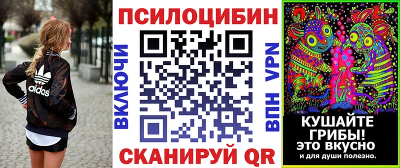 Купить закладки  Котлас  Псилоцибиновые грибы мицелий 